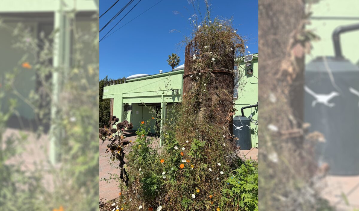 Tall wire-mesh soil tower overgrown with wildflowers beside a green building in Santa Monica
