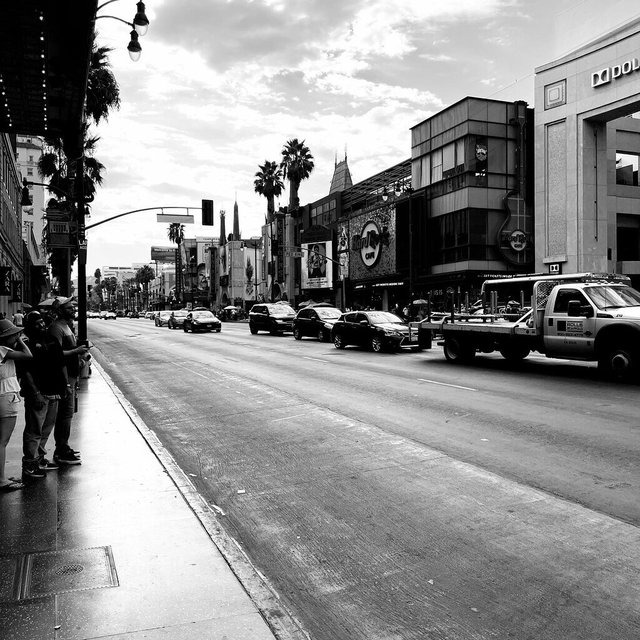 Hollywood Boulevard in black and white, with palm trees, traffic and storefronts stretching down the street