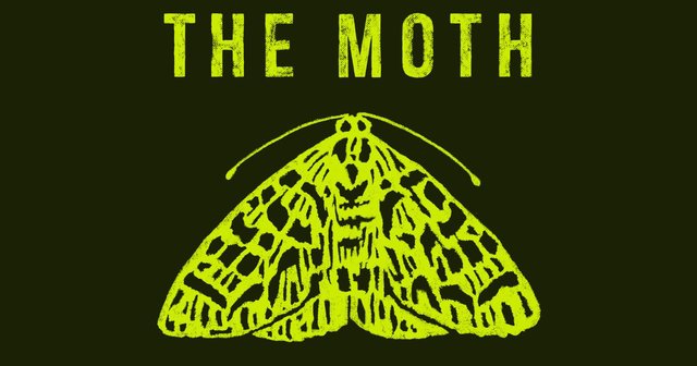Chartreuse moth illustration under the words THE MOTH on a dark green background