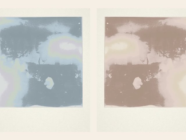 Two side-by-side screen-printed photographic textile panels, one in blue-gray and one in rose-brown tones