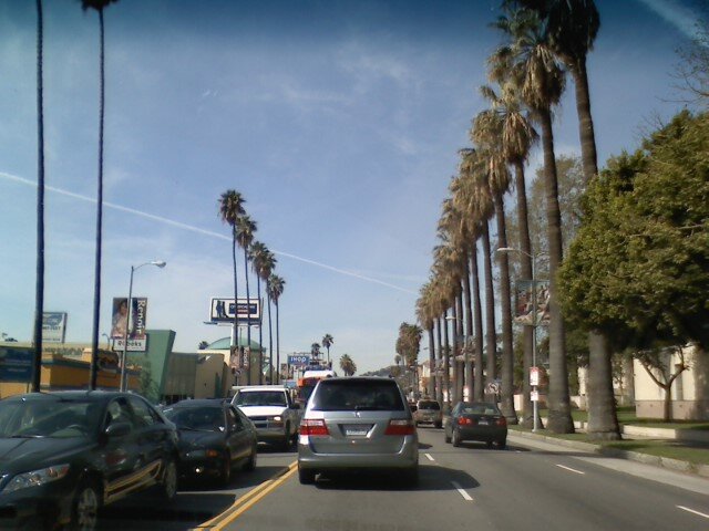 Palm-lined stretch of Sunset Boulevard in Hollywood with traffic under a blue sky