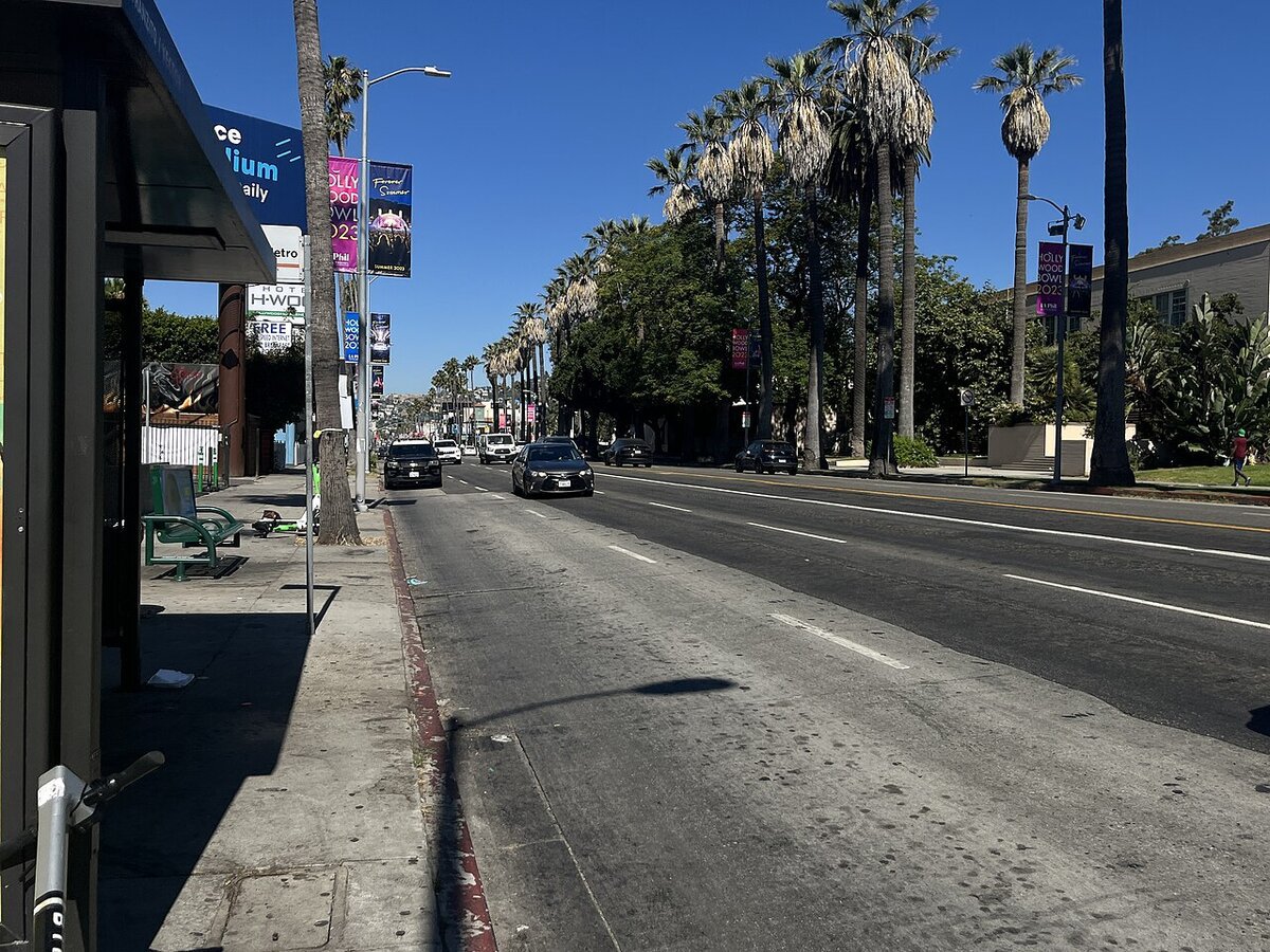 Palm-lined stretch of Sunset Boulevard in Hollywood on a sunny day, with a bus shelter and parked cars