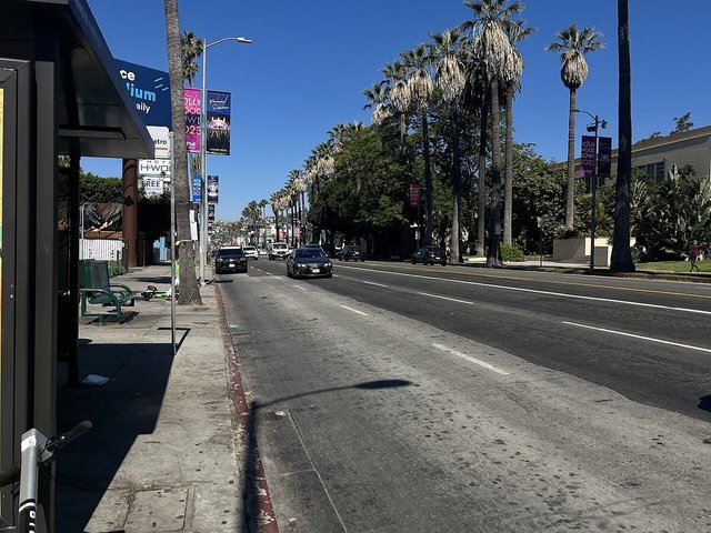 Palm-lined stretch of Sunset Boulevard in Hollywood on a sunny day, with a bus shelter and parked cars