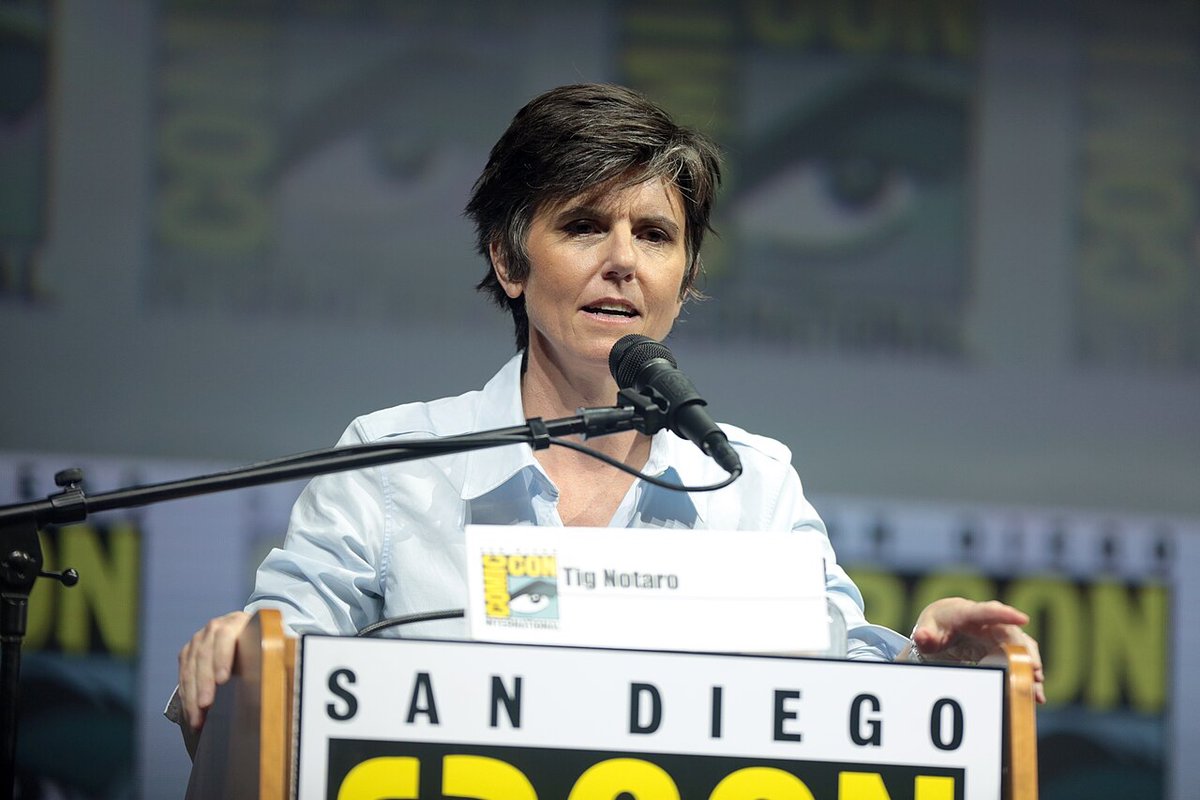 Tig Notaro smiling at a public event