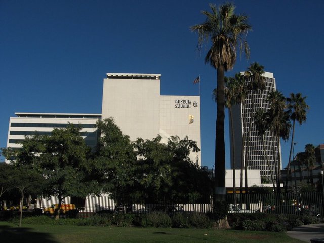 Museum Square office building and tall palm trees under a blue sky along Wilshire Boulevard in the Miracle Mile