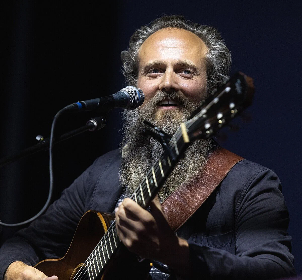 Photo of Iron & Wine performing on stage