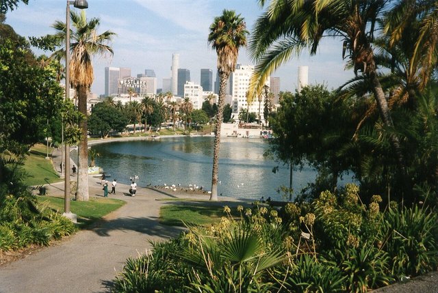 Palm trees and a path beside the MacArthur Park lake with the downtown Los Angeles skyline behind