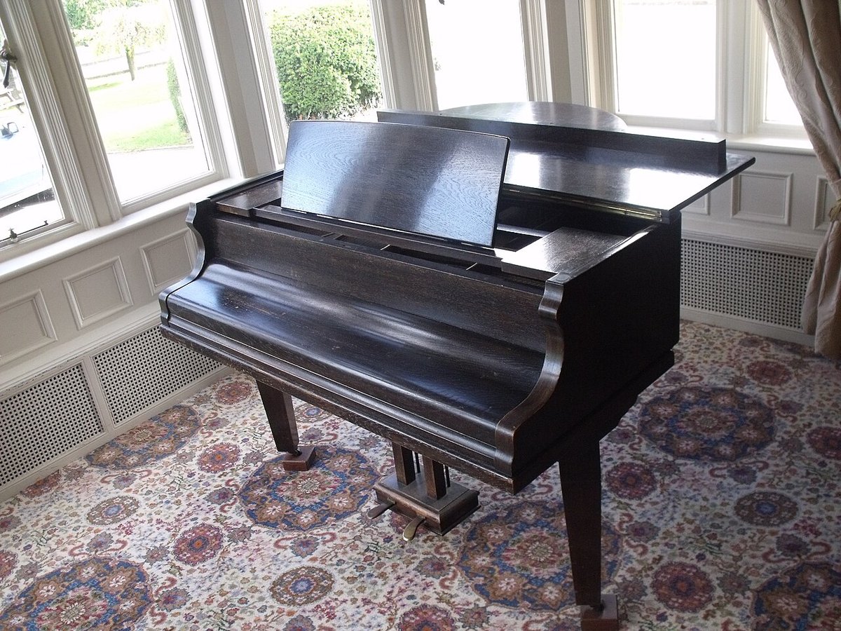 A black grand piano standing in a bright room with tall windows and a patterned rug