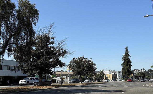 Wide Glendale Boulevard in Los Angeles on a sunny day, with trees along the median and low buildings down the block