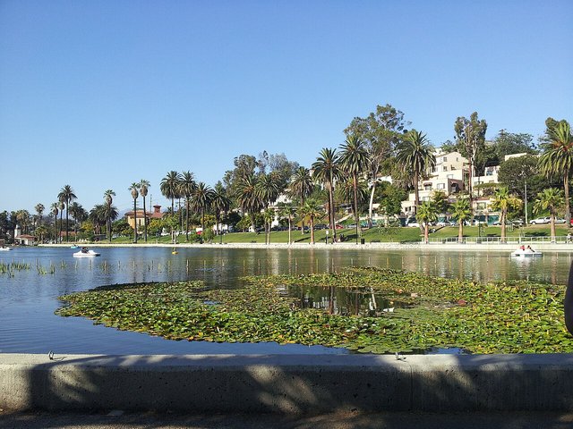 Palm trees and hillside homes above the water at Echo Park Lake near The Echo venue