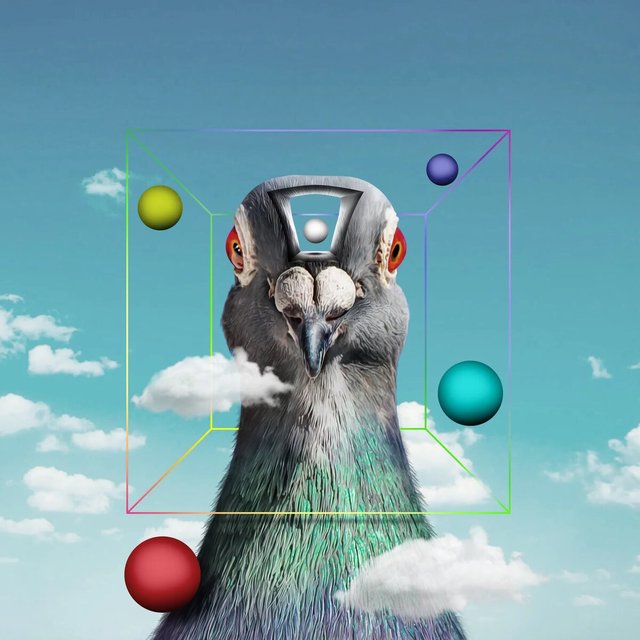 Surreal artwork of a pigeon's head against a blue sky with floating colored spheres inside a rainbow wireframe box