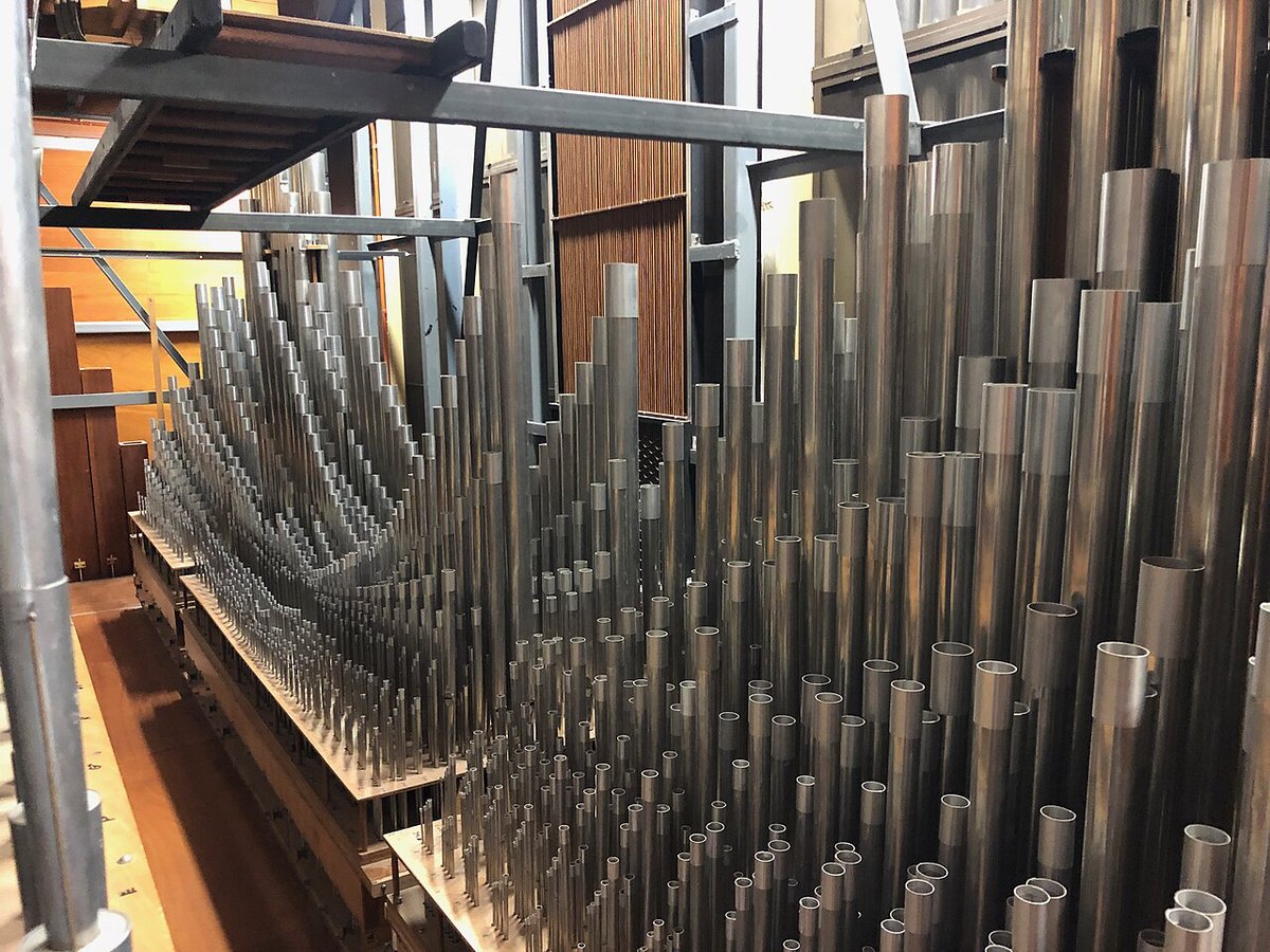 Rows of metal organ pipes inside a concert hall, lit warm from the side
