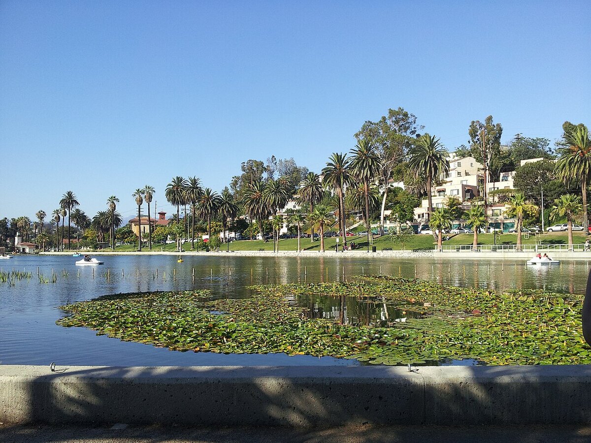 Palm trees and paddle boats on Echo Park Lake with hillside homes behind, near The Echo