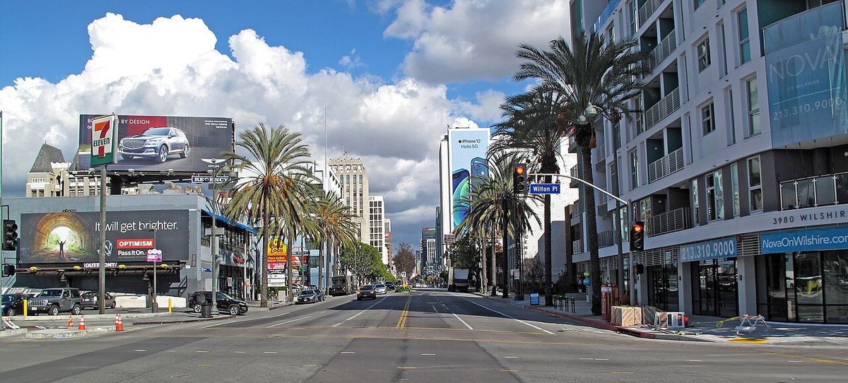 Looking along Wilshire Boulevard in Koreatown, with palm trees and mid-rise buildings
