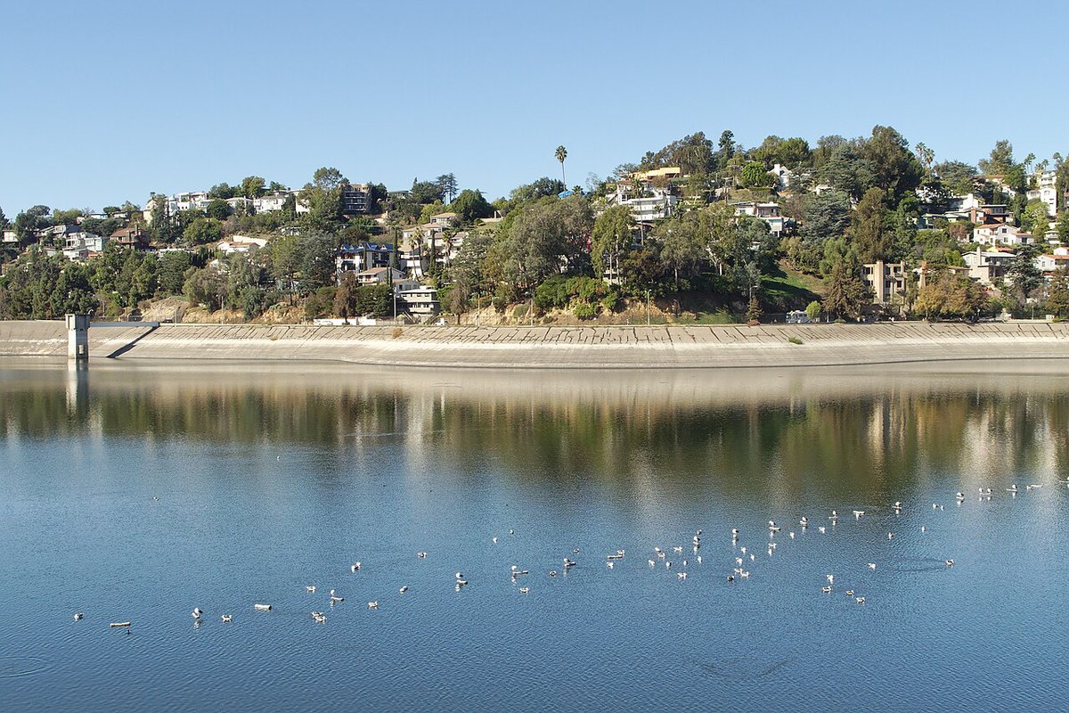 Looking west across the Silver Lake Reservoir, with hillside houses above a calm blue surface dotted with gulls