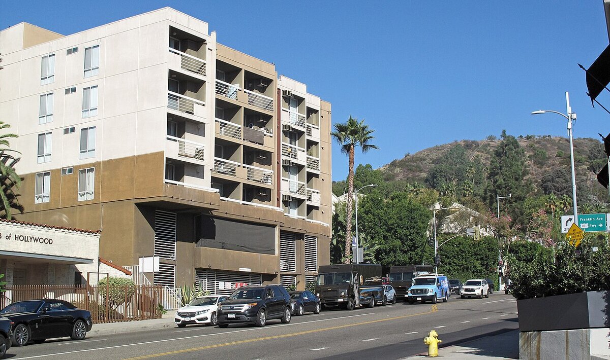 Vine Street north of Hollywood Boulevard, a palm tree and the hills beyond, near where Avalon Hollywood sits