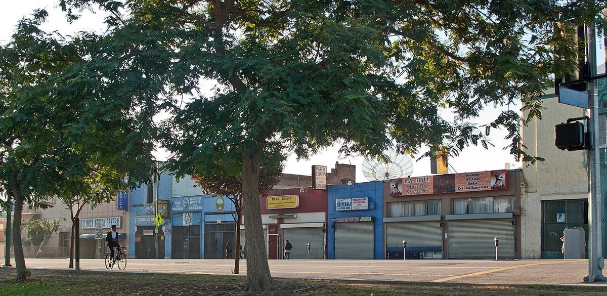 Shop fronts and a street tree along 7th Street in Westlake, Los Angeles