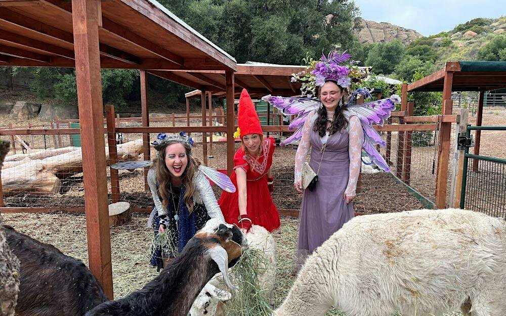 Costumed faery performers feeding goats and sheep at Kindred Spirits Care Farm