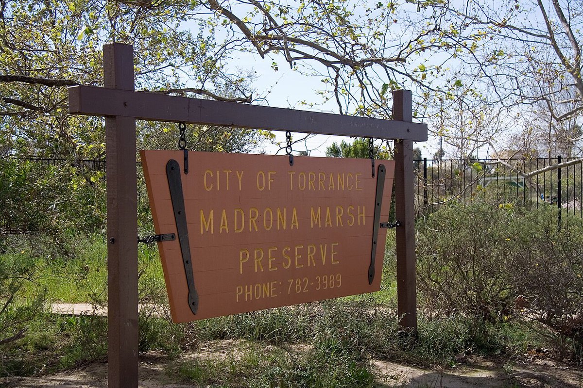 Wooden City of Torrance sign for Madrona Marsh Preserve hanging between two posts beside a sandy path