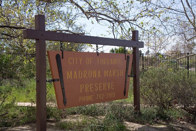 Wooden City of Torrance sign for Madrona Marsh Preserve hanging between two posts beside a sandy path
