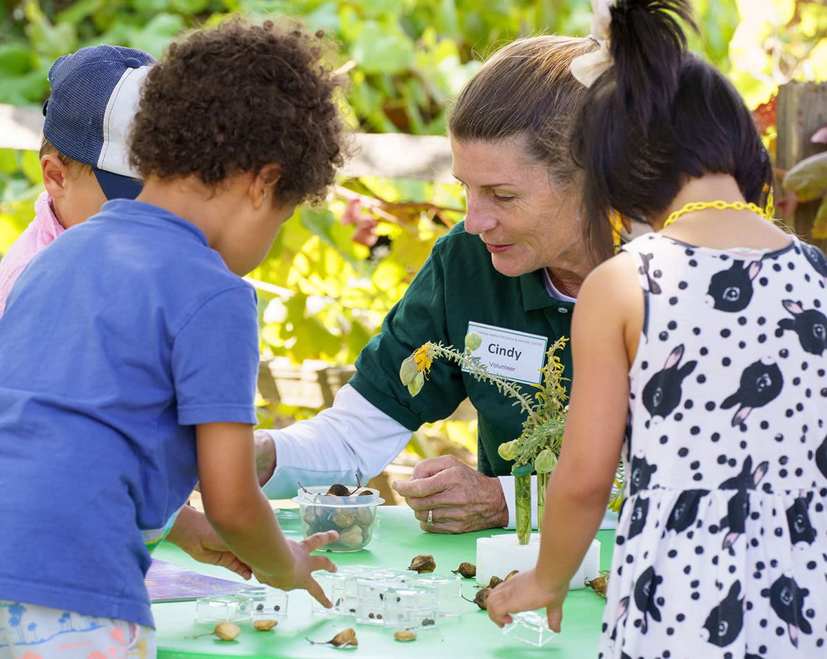 A Madrona Marsh volunteer shows young children seeds and plant samples on a green table outdoors