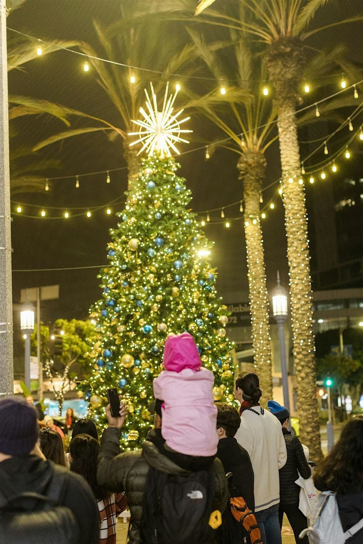 A child on an adult's shoulders looks up at a lit holiday tree topped with a white starburst, under palm trees wrapped in string lights