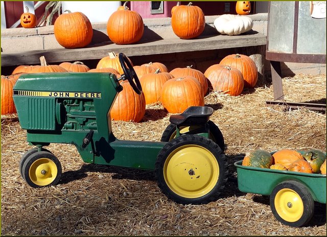 A toy tractor and wagon among pumpkins and hay at a fall farm