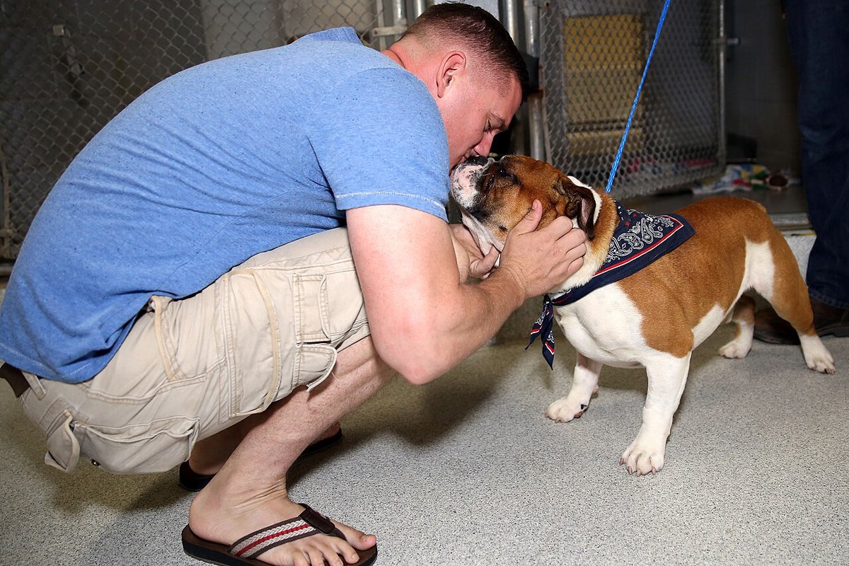 A service member greets a newly adopted bulldog at an outdoor pet adoption event