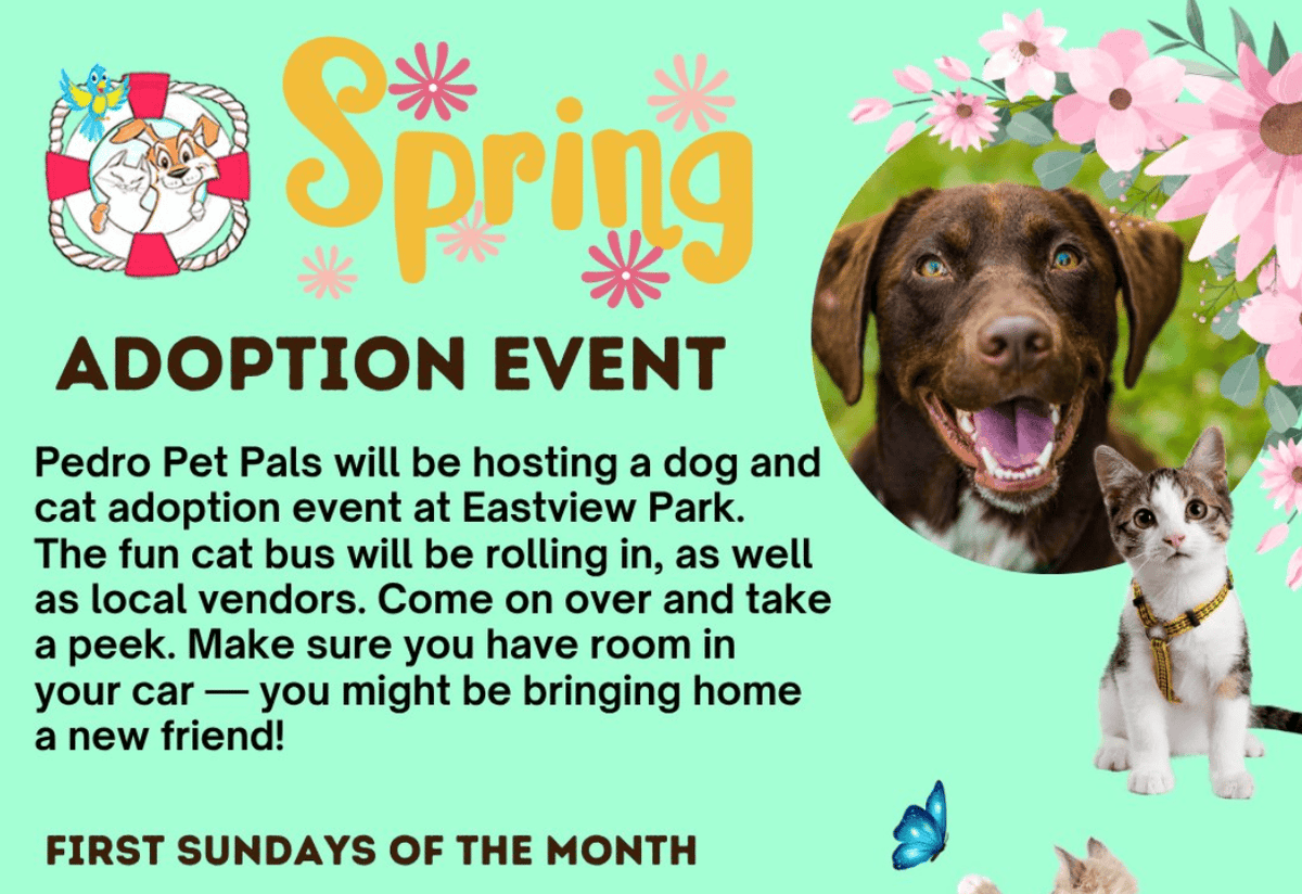 Flyer for Pedro Pet Pals spring adoption event showing an adoptable dog and kitten among spring flowers