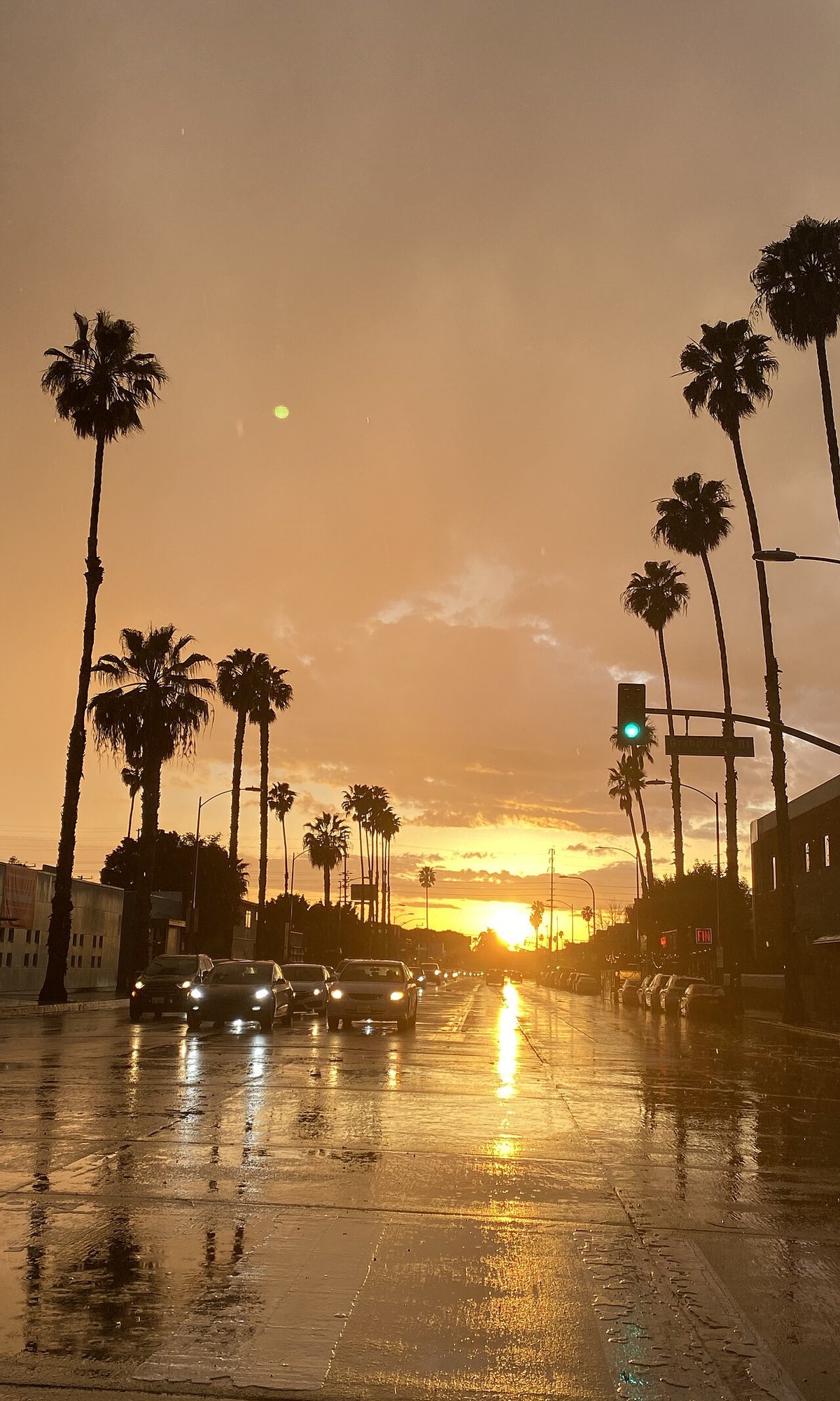 Washington Boulevard in Culver City looking west, with palm trees and a bus lane along the street