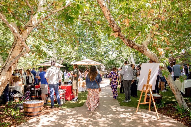 Guests mingling at drink tables under shady sycamore trees and string lights in an outdoor garden courtyard