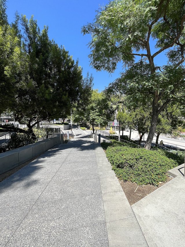 Shaded concrete path through trees and planted beds at Grand Park in Downtown Los Angeles on a sunny day