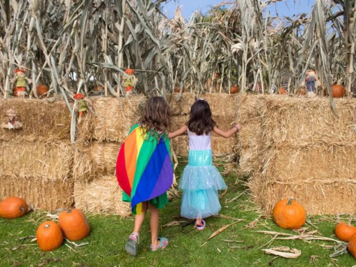 Two children in Halloween costumes walking toward a hay bale maze with pumpkins and corn stalks