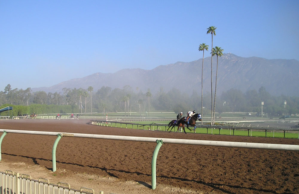 Horses working out on the dirt track at Santa Anita Park with palm trees and the San Gabriel Mountains behind