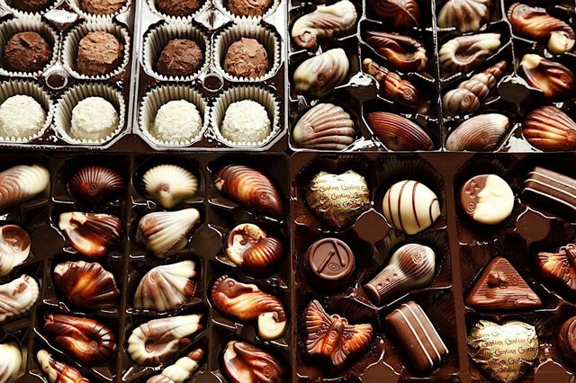 Trays of assorted chocolates, including seashell pralines, coconut truffles and foil-wrapped hearts, like those sampled at the Los Angeles Chocolate Festival