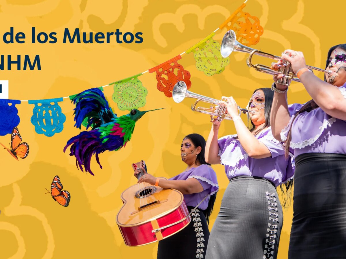 Three mariachi musicians in lavender blouses and sugar skull face paint playing trumpets and a guitarron against a yellow background with papel picado banners and a feathered hummingbird
