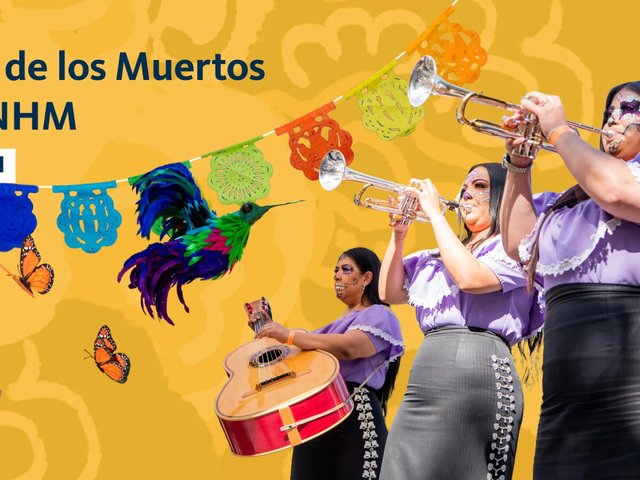 Three mariachi musicians in lavender blouses and sugar skull face paint playing trumpets and a guitarron against a yellow background with papel picado banners and a feathered hummingbird