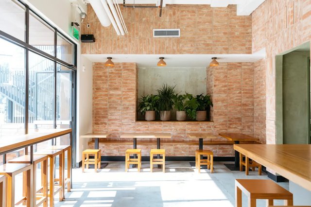 Sunlit dining room at LOQUI Arts District with terracotta brick walls, potted plants in a concrete alcove, and rows of light wood tables and stools