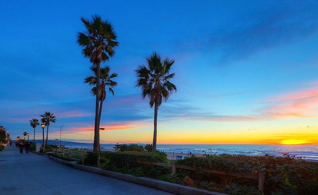 Palm trees and a lamp-lit walkway beside the beach in Manhattan Beach at sunset