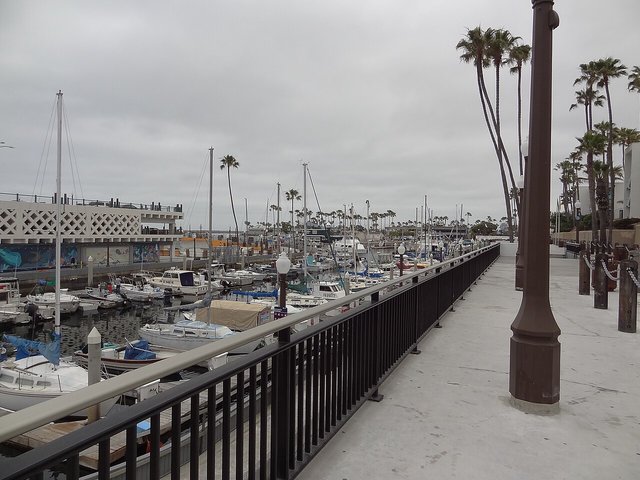 Boats moored in a Redondo Beach marina beside a railed walkway lined with palm trees under an overcast sky