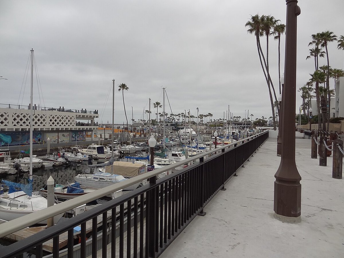 Boats moored in a Redondo Beach marina beside a railed walkway lined with palm trees under an overcast sky