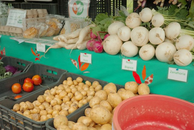 Fresh root vegetables and produce displayed at an outdoor farmers market stand