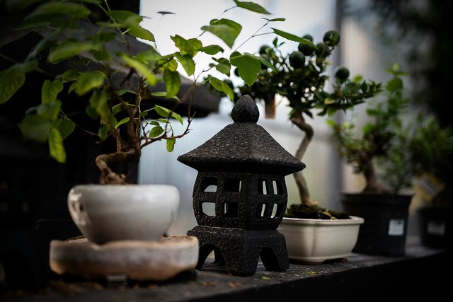 Festival chill-out zone with soft lanterns and seating