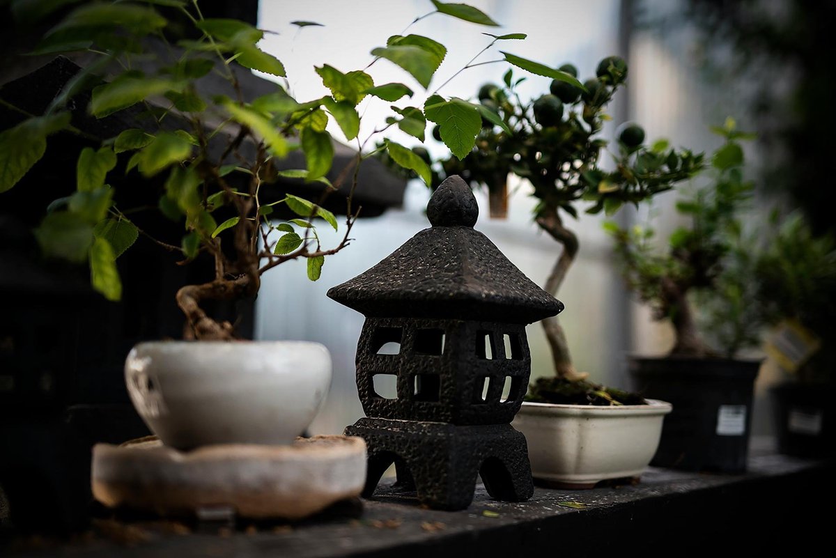 Festival chill-out zone with soft lanterns and seating
