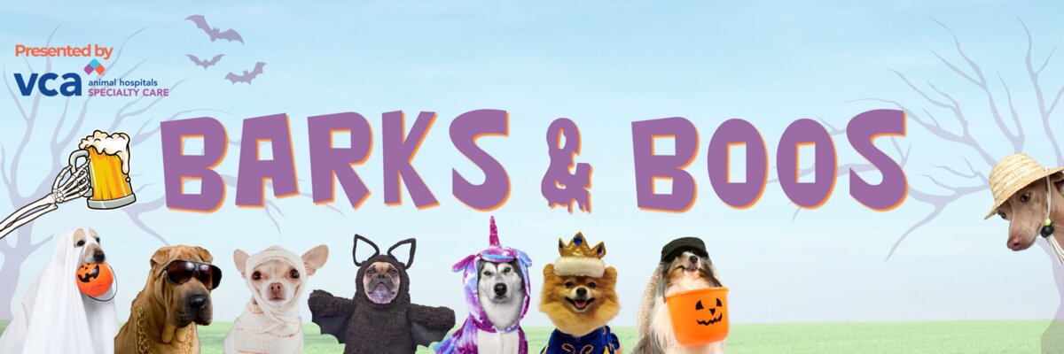 Dogs dressed as a ghost, a bat, a unicorn and a king beneath the Barks & Boos title on a pale blue sky