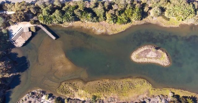 Aerial view of the Salinas de San Pedro salt marsh at Cabrillo Beach, with a wooden boardwalk, a small island and palm trees along the shore