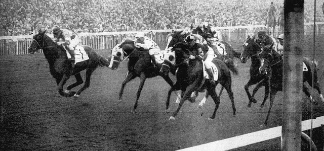 Thoroughbreds racing at full gallop on a flat track during the 1950 Compton Handicap at Santa Anita Park