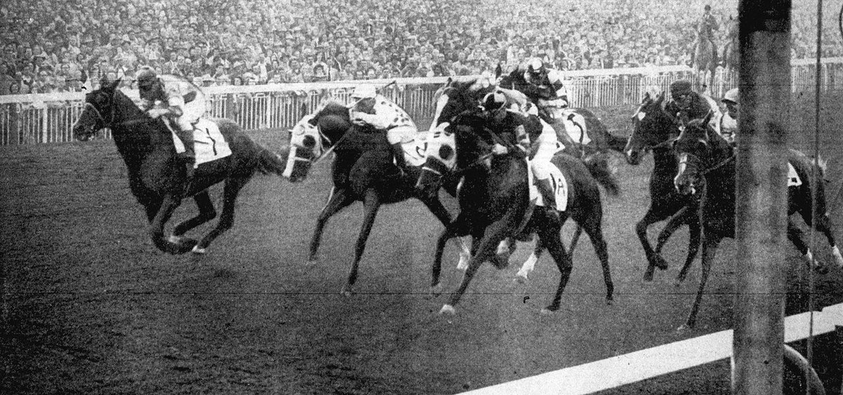 Thoroughbreds racing at full gallop on a flat track during the 1950 Compton Handicap at Santa Anita Park