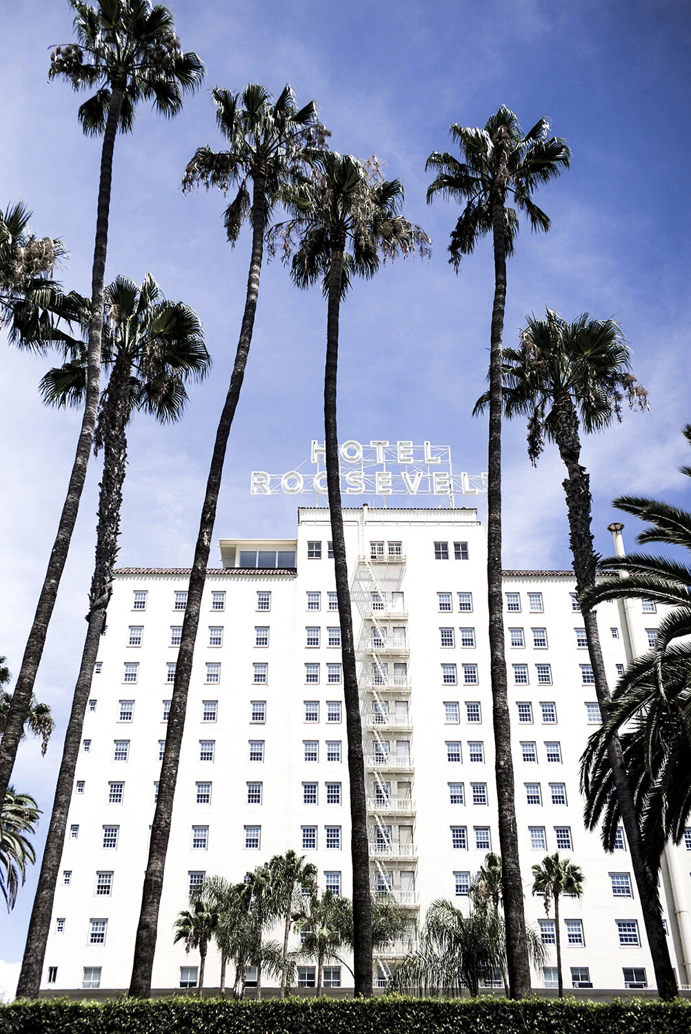 The Hollywood Roosevelt Hotel's white tower with its rooftop sign, framed by tall palm trees against a blue sky