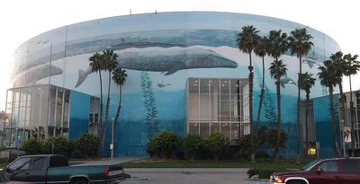 The round Long Beach Arena painted with an ocean mural of whales, with palm trees and glass entrances along its base